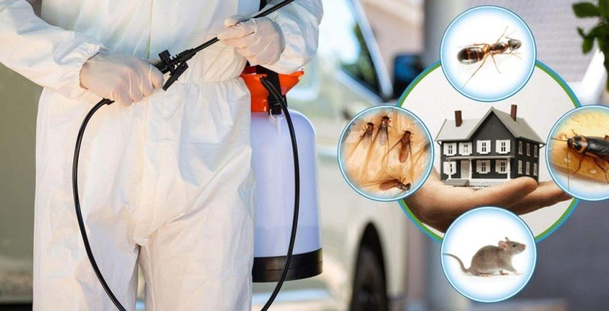 Harmancık Böcek İlaçlama