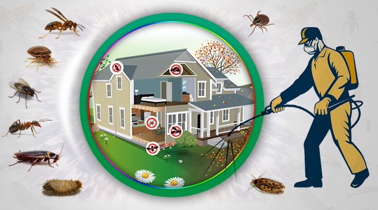 Harmancık Böcek İlaçlama