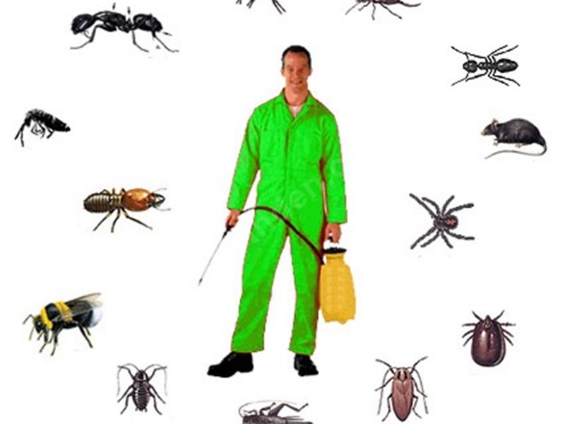 Harmancık Böcek İlaçlama